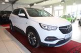 Opel Grandland Business Innovation 360° Kamera* PANO - Opel Gebrauchtwagen in Bielefeld