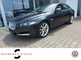 Jaguar XF 3.0 D V6, Leder, Kamera, Sitzbelüftung, GLS.. - Jaguar Gebrauchtwagen von 2012