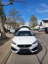 Cupra Leon 1.5 eTSI 110kW DSG - - Cupra Leon: Privatanbieter