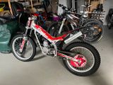 Beta EVO 80 Junior Kleinrad MJ 2021 - BETA EVO