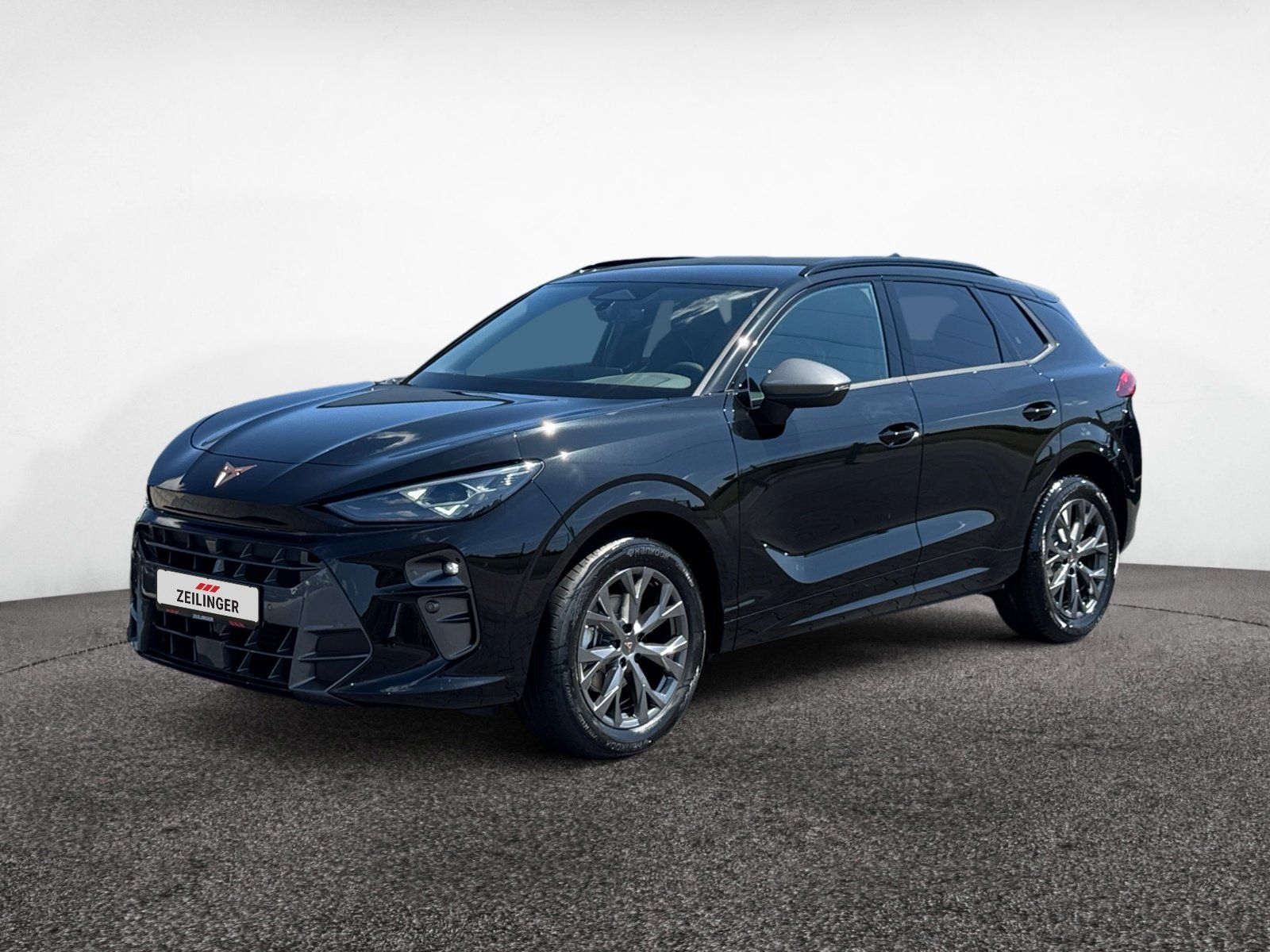 Cupra Terramar - Bild 2
