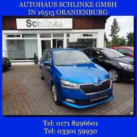 Fotografie Skoda Fabia 1.0 TSI Combi Amb NAVI PDC SHZ GJR SML BT