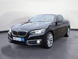 BMW 230i Steptronic Cabrio Luxury Line Sport Aut. - BMW 2er Reihe: Cabrio