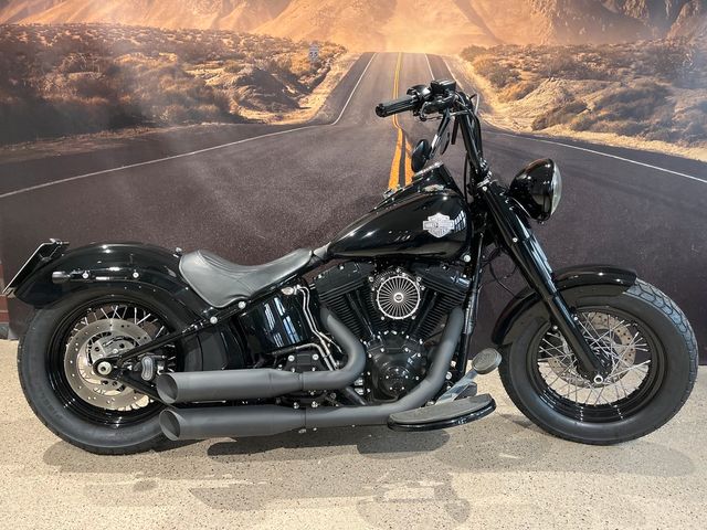 Harley-Davidson FLS Softail Slim KessTech uvm