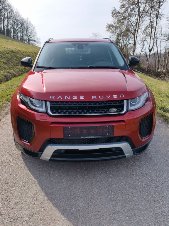 Image of Other Other