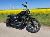 Harley-Davidson IRON 883 Sportster  - Angebote entsprechen deinen Suchkriterien