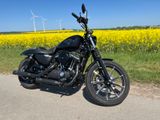 Harley-Davidson IRON 883 Sportster  - Angebote entsprechen deinen Suchkriterien