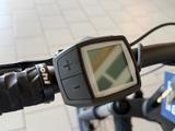 Bianchi E-Vertic X-Type * Bosch Perf.  Gr. L in Celeste - Diamant E-Bikes