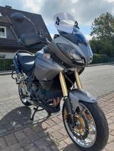Triumph Tiger 1050 - Angebote