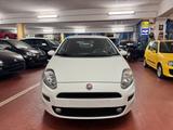 Fiat Punto 1.2 8V 5 porte Young - Fiat Punto: Young