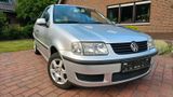 Volkswagen Vw Polo 6N2 1.4l  60PS - Volkswagen Polo aus 2000: 1.4