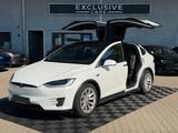 Tesla MODEL X RAVEN LONG RANGE RAVEN | FULL SELF DRIVE - Behindertengerechte Tesla Model X