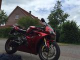Triumph Daytona 675 - TRIUMPH DAYTONA 675