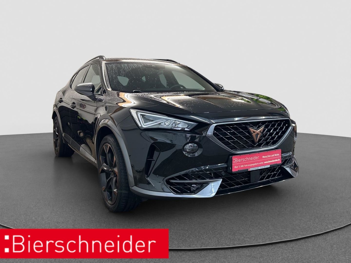 Cupra Formentor 2.0 TSI DSG 4Dr. VZ RFK BEATS DCC ACC imagem 3