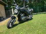 Suzuki VX800 - SUZUKI VX 800