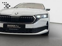 Skoda Octavia - Vorschau Bild 12