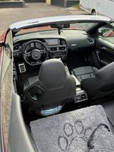 Audi S5 3.0  V6 TFSI S tronic quattro Cabriolet - - Audi: Cabrio, V6
