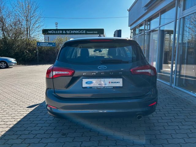 Focus Titanium Turnier*