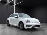 Volkswagen Beetle Allstar BMT 1.HAND|NAVI|PANO|XENON|KAMERA - VW Beetle mit Schiebedach