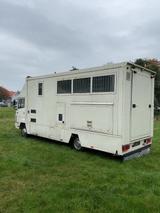 Mercedes-Benz 814 Pferdertransporter -Camper  - Mercedes-Benz 1985