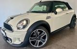 MINI Cooper S Cabrio Chilli Temp Leder Shz PDC - weiße MINI Cooper S Cabrio