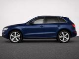 Audi Q5 3,0 TDI qu. S-LinePlus *Leder/Pano/20Z/B&O* - Audi Q5: 3.0