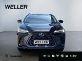 Lexus NX 350h Executive Line *HUD*360°*Leder*el Heck* - Lexus Gebrauchtwagen in Osnabrück