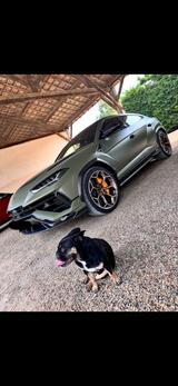 Lamborghini Urus 4.0 V8 Performante Performante - Lamborghini Urus von privat