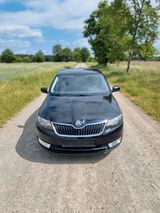 Skoda Rapid 1.6 TDI Edition Spaceback Edition  - Skoda Rapid von privat