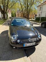 Volkswagen VW Lupo 1.4 60 PS Schwarz - Volkswagen Lupo: 1.6