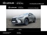 Lexus NX 350 h E-Four Executive - Lexus NX 350h Neuwagen