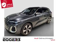 Audi SQ5 - Vorschau Bild 1