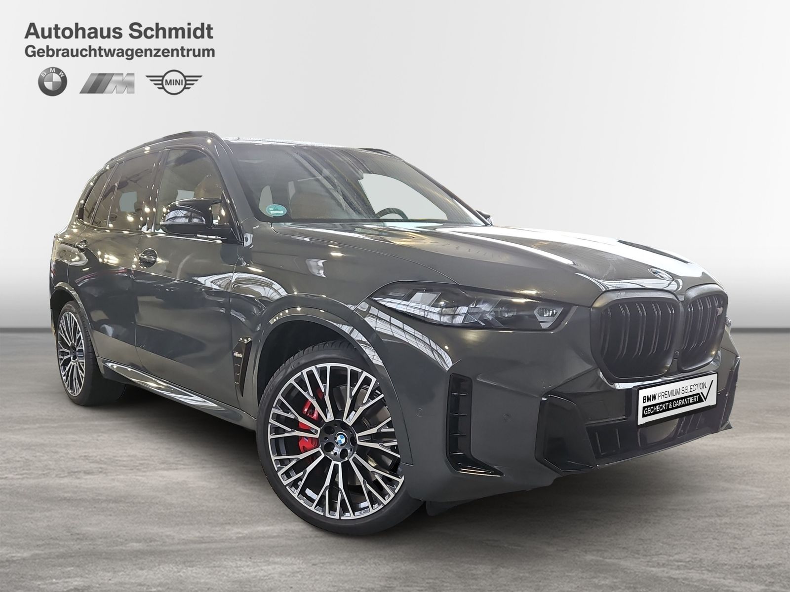 BMW X5 M60 - Bild 6