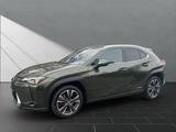 Lexus UX 250H*1HAND*TOTW*SCHECKHEFT* - Lexus: Sc