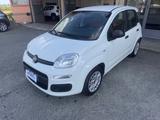 Fiat Panda 1.2 GPL Easy - Fiat Panda mit LPG-Antrieb