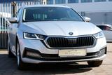 Skoda Octavia 2.0 TDi DSG Parken&Licht Reisepaket - Skoda Octavia Gebrauchtwagen in Hamburg