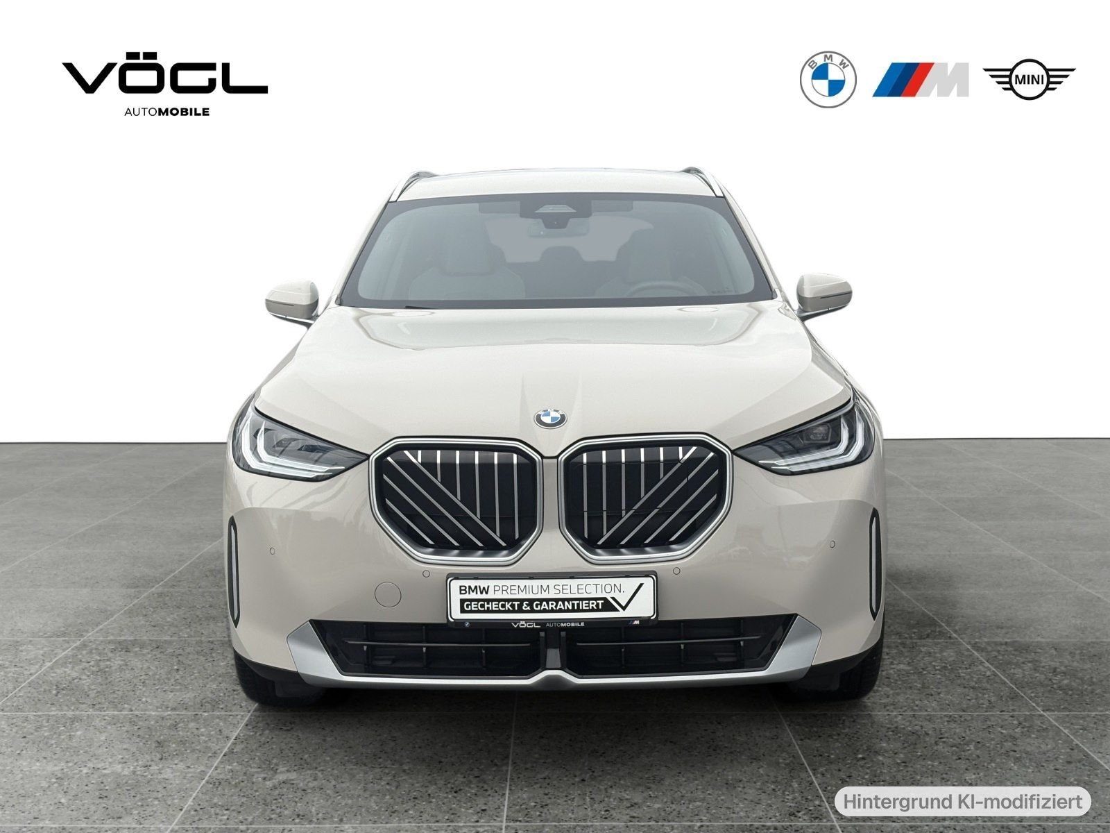 BMW X3 20 xDrive Driving Assistant Standheizung AHK foto 5