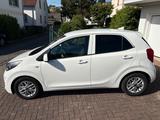 Kia Picanto 1.2 / 2 Jahre TÜV & Herstellergarantie - Kia Picanto in Frankfurt (Main)