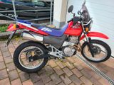 Honda SLR650 (wenig km) - Offers matching your search criteria