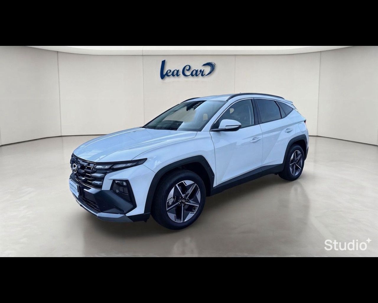 Hyundai HYUNDAI TUCSON PE 1.6PHEV AT 2WD BUSINESS+(C)