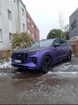 Hongqi E-HS9 President Ultra-Luxus Vollleder - : Geländewagen, Luxus