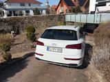 Audi SQ5 3.0 TFSI tiptronic quattro - - Audi SQ5 von privat