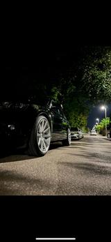 Audi SQ5 3.0 tfsi Quattro Top gepflegt  - Audi SQ5: Allradantrieb