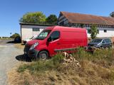 Renault Master Transporter | Bj. 2014 | 149.500  - Renault: Transporter