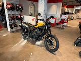 Honda CL500 2025 Dusk Yellow *Tageszulassung 08-25*