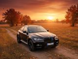BMW X6 xDrive35d - - BMW X6 aus 2008 mit Diesel-Antrieb