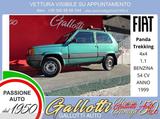 Fiat FIAT Panda 1.1 54 cv 4x4 benzina - Fiat Panda aus 1999