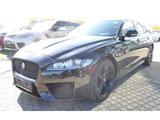 Jaguar XF 30d Chequered Flag Panorama Navi Kamera Leder - gebrauchte Jaguar XF aus dem Jahr 2019
