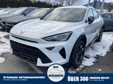 Cupra Formentor 1.5 eTSI DSG, Matrix, Navi, Kamera, Wi - Cupra Formentor Neuwagen