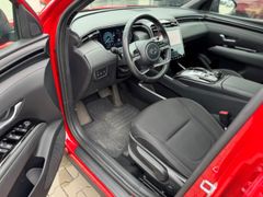 Fahrzeugabbildung Tucson Blackline Mild-Hybrid 2WD Pano+Winter Pak